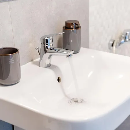 Le Grand Apartment Timisoara