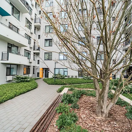 Le Grand * Тимишоара