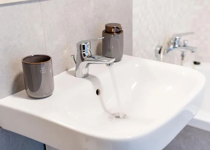 Le Grand Διαμέρισμα Τιμισοάρα